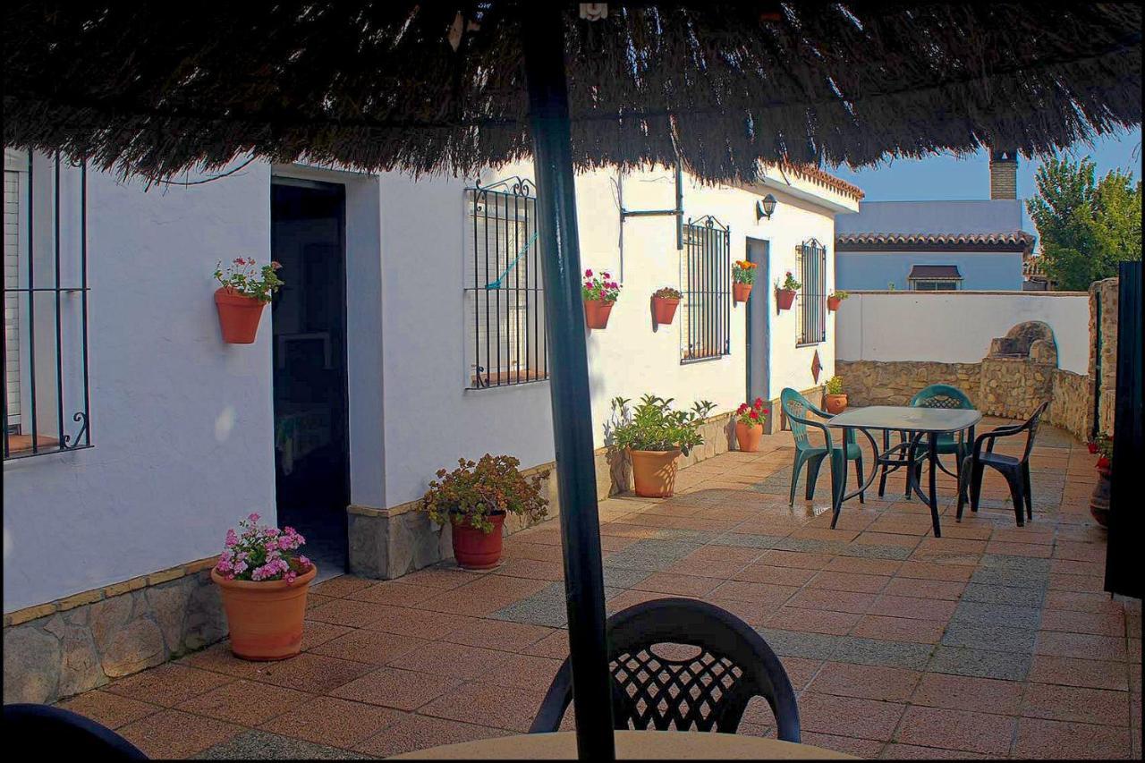 Chalet Con Piscina Privada Conil De La Frontera Eksteriør billede