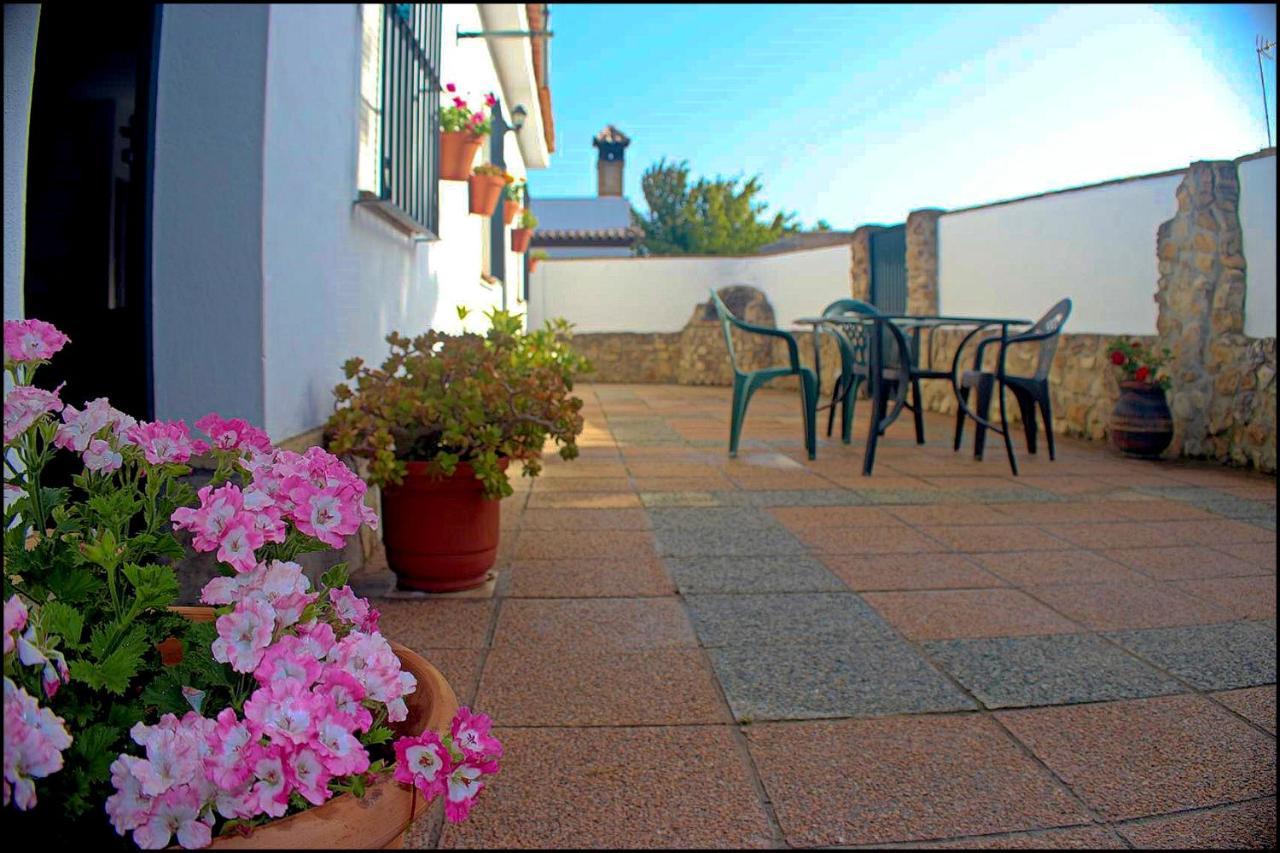 Chalet Con Piscina Privada Conil De La Frontera Eksteriør billede